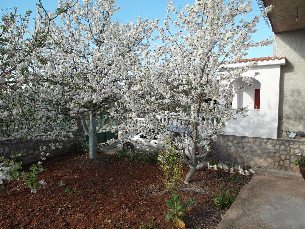 Apartment Antonio Sibenik Bagian luar foto
