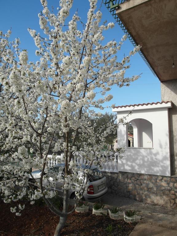 Apartment Antonio Sibenik Bagian luar foto